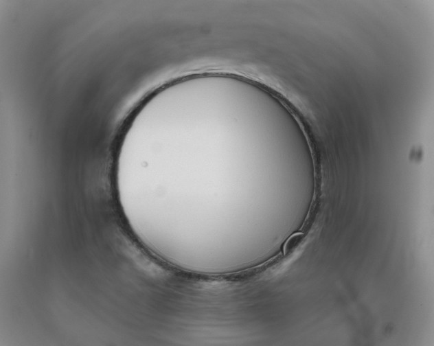 X0000091961502200709201333