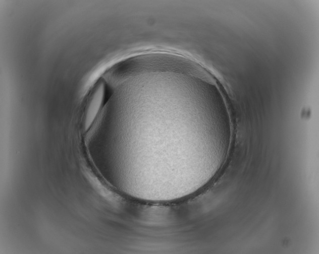 X0000091961503200709201333