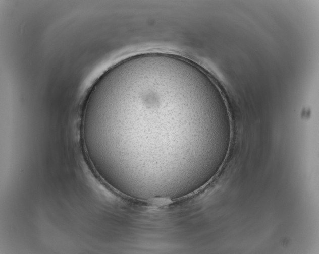 X0000091961504200709201333