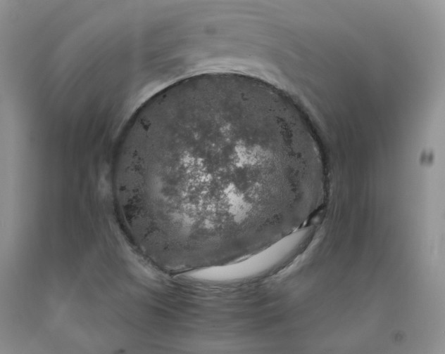 X0000091961505200709201333