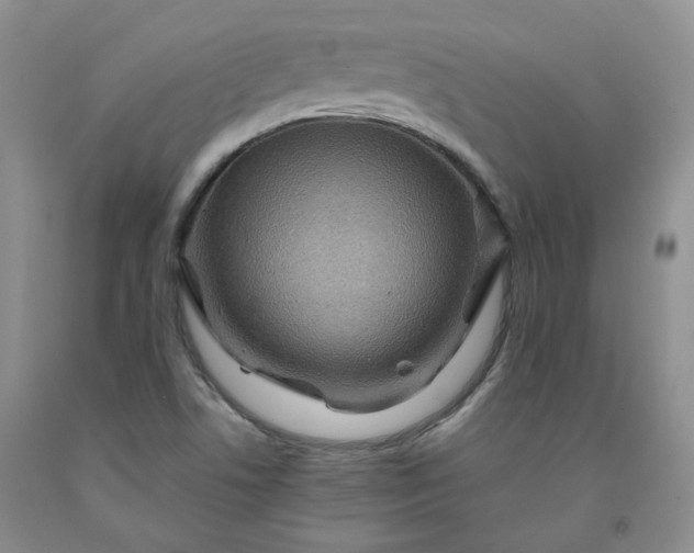 X0000091961506200709201333