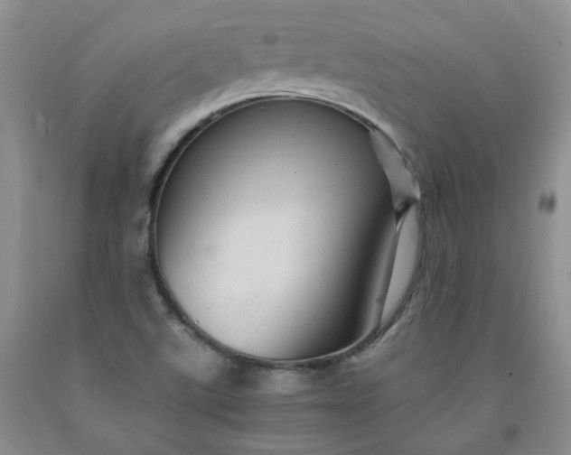 X0000091961507200709201333