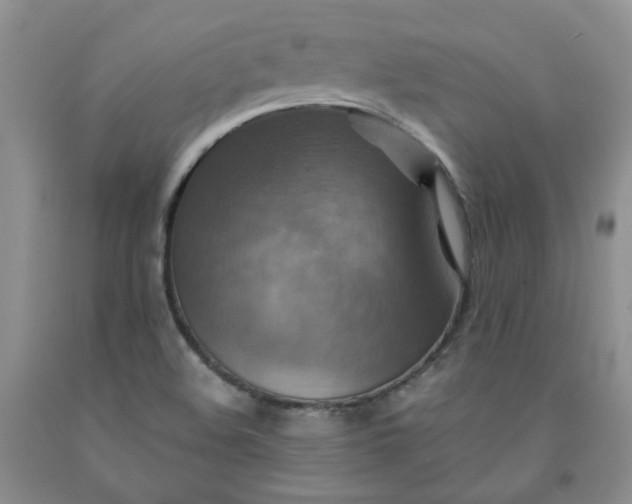 X0000091961508200709201333