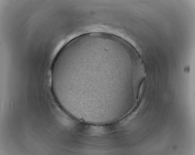 X0000091961509200709201333