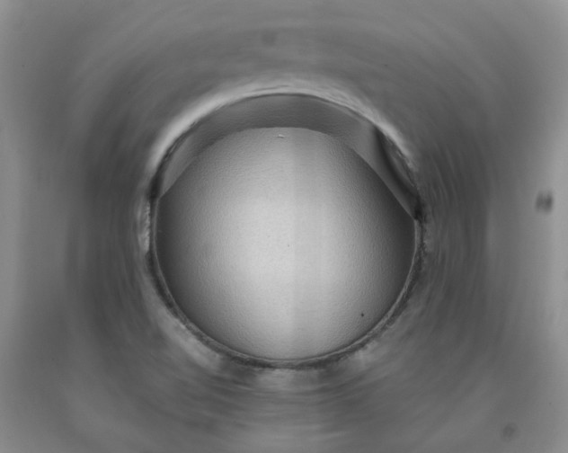 X0000091961510200709201333