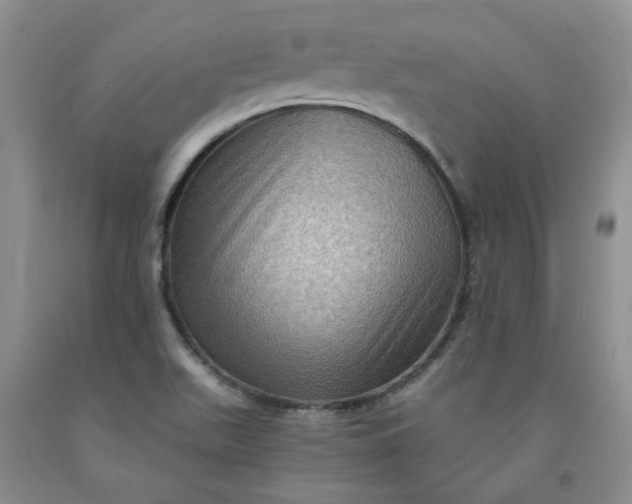 X0000091961511200709201333