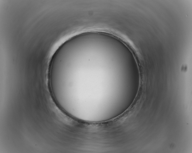 X0000091961512200709201333