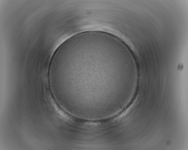 X0000091961513200709201333