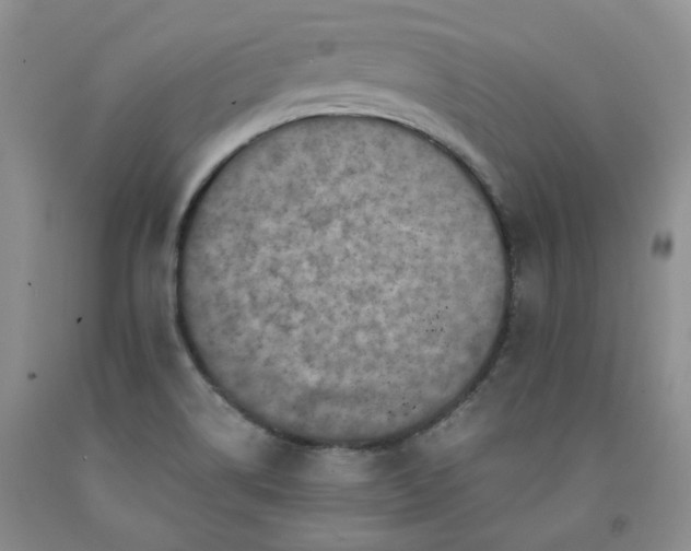 X0000091961514200709201333