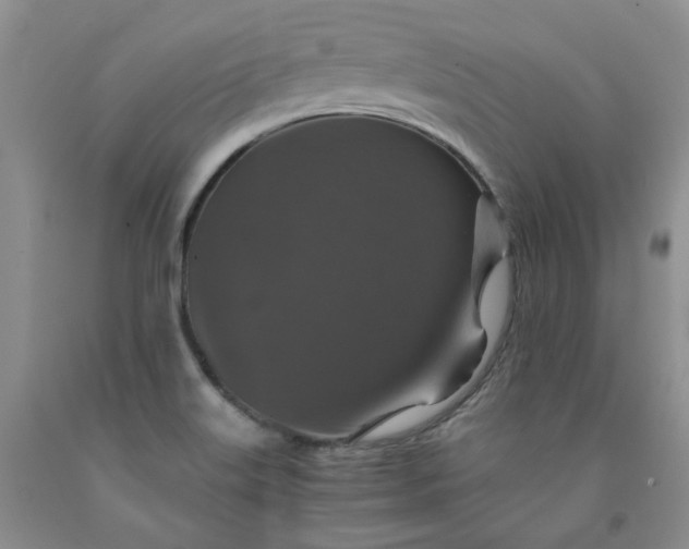 X0000091961515200709201333