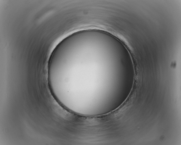 X0000091961516200709201333