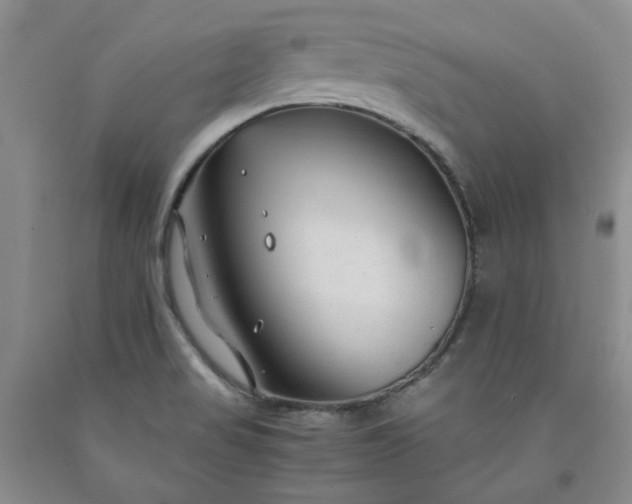 X0000091961517200709201333