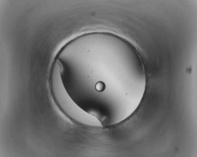 X0000091961518200709201333