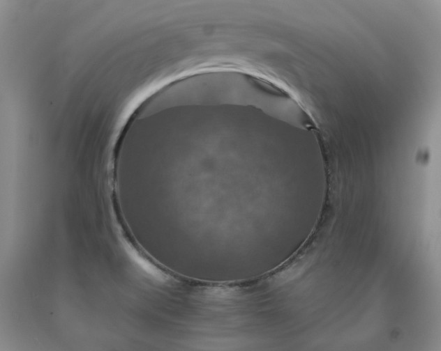 X0000091961519200709201333