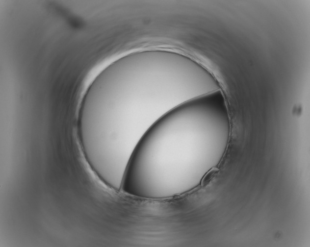 X0000091961520200709201333