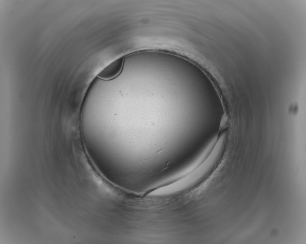 X0000091961521200709201333