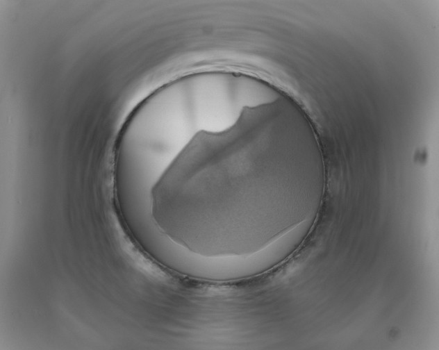 X0000091961522200709201333