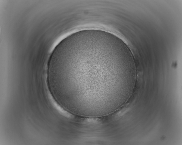 X0000091961523200709201333