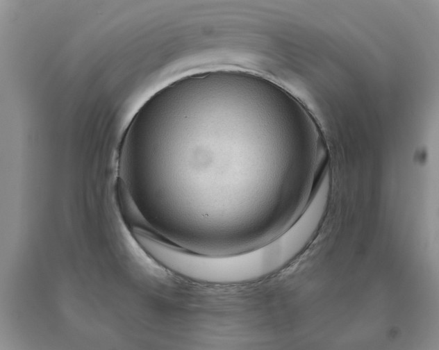 X0000091961524200709201333