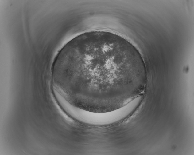 X0000091961525200709201333