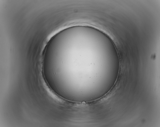 X0000091961526200709201333