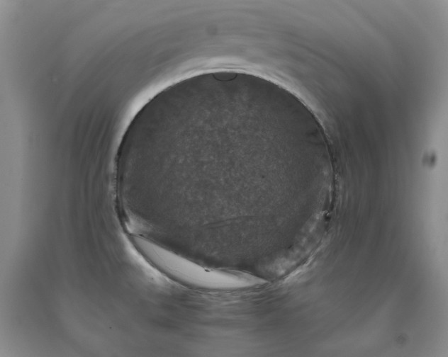 X0000091961527200709201333