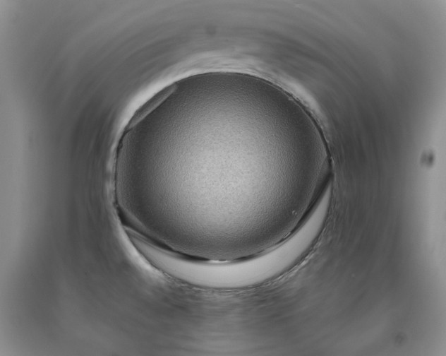 X0000091961528200709201333