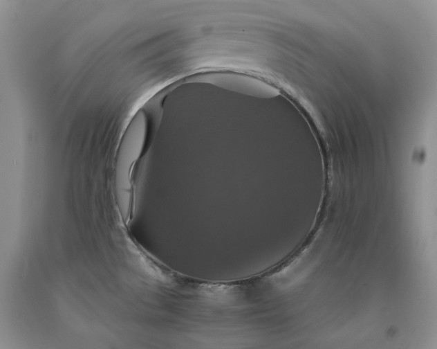 X0000091961529200709201333