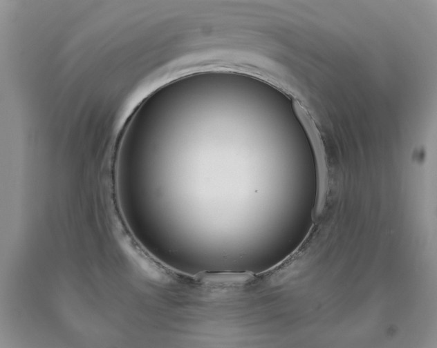 X0000091961530200709201333