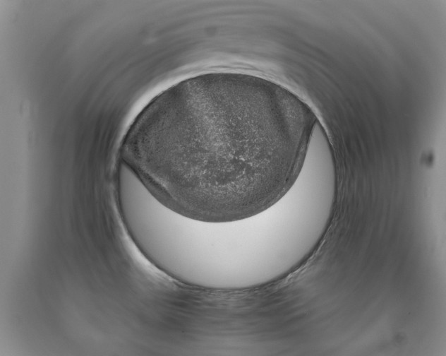 X0000091961531200709201333