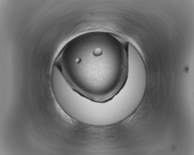 X0000091961532200709201333