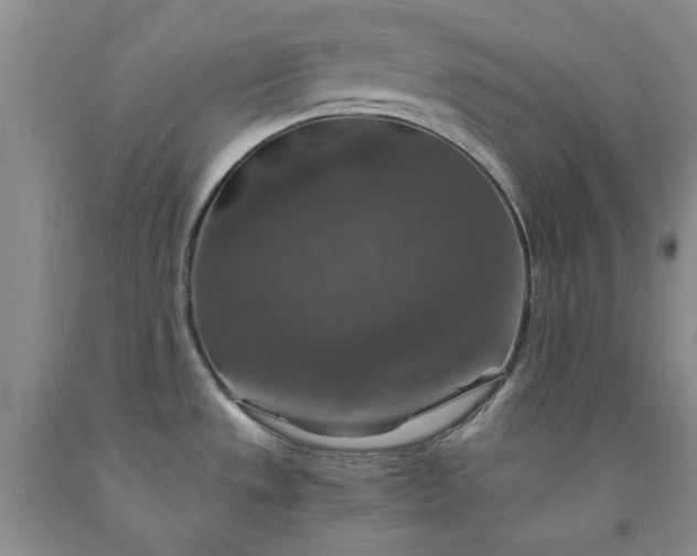 X0000091961533200709201333