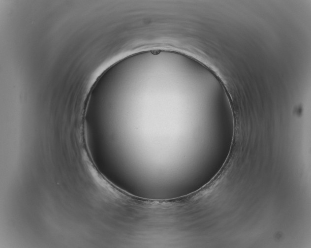 X0000091961534200709201333