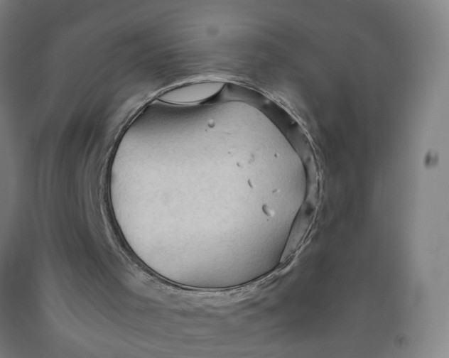 X0000091960001200709271356