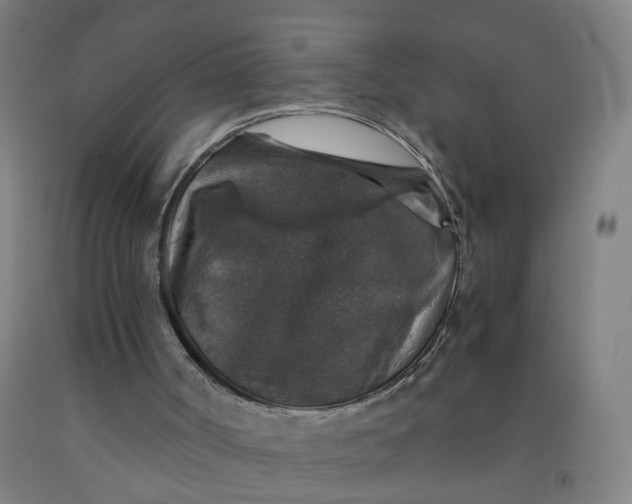 X0000091960002200709271356