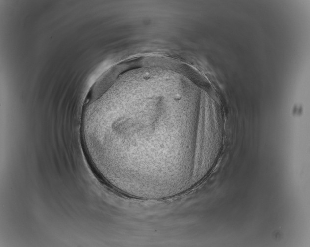 X0000091960003200709271356