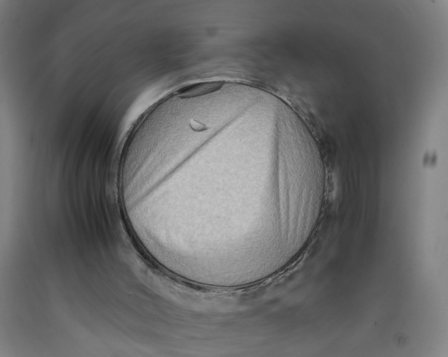 X0000091960004200709271356