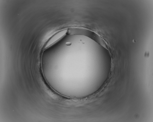 X0000091960005200709271356