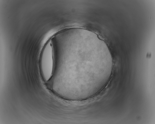 X0000091960006200709271356