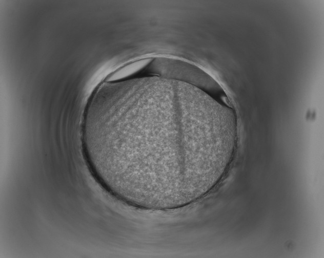 X0000091960007200709271356