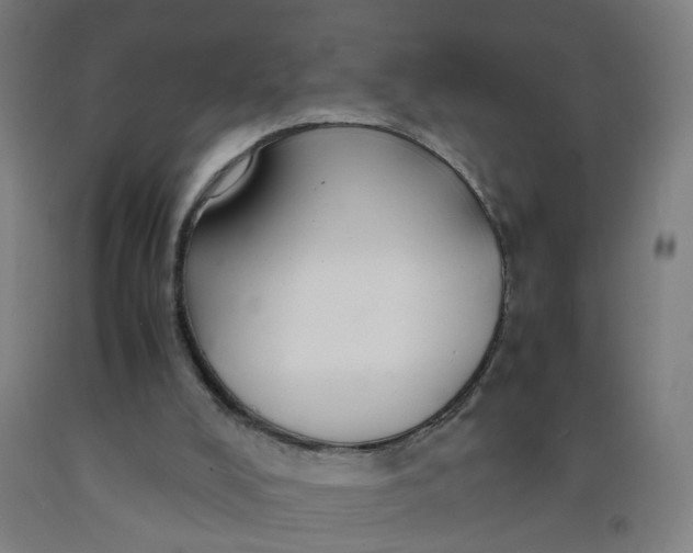 X0000091960008200709271356