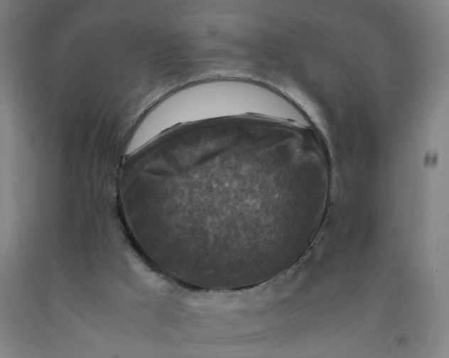 X0000091960009200709271356