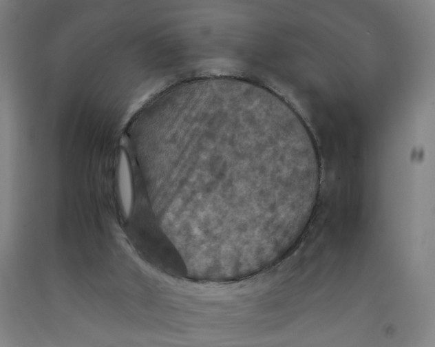 X0000091960010200709271356