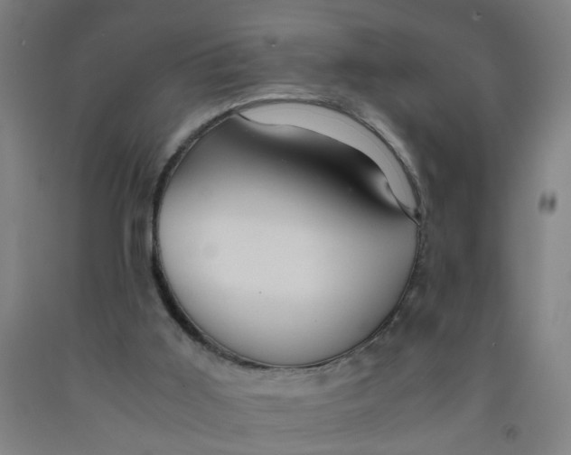 X0000091960011200709271356