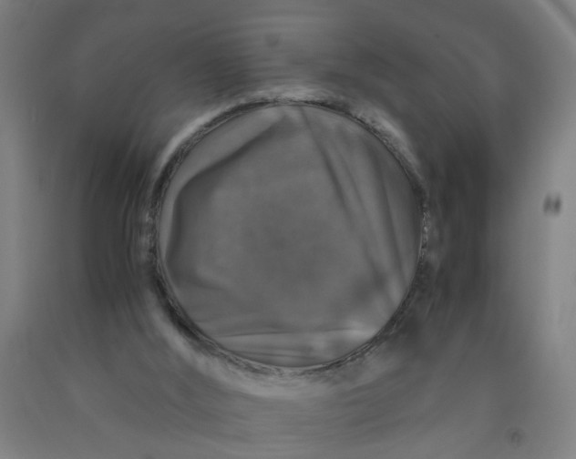X0000091960012200709271356