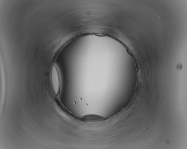 X0000091960013200709271356