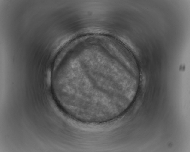 X0000091960014200709271356