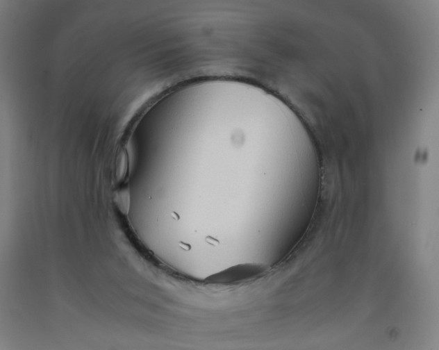 X0000091960015200709271356