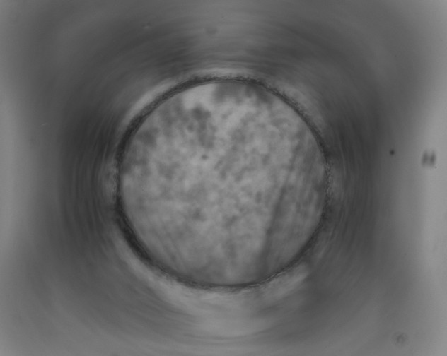 X0000091960016200709271356