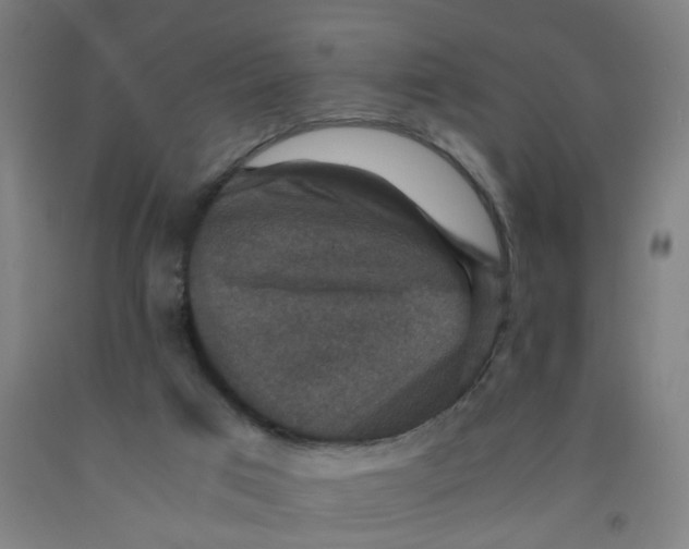 X0000091960017200709271356